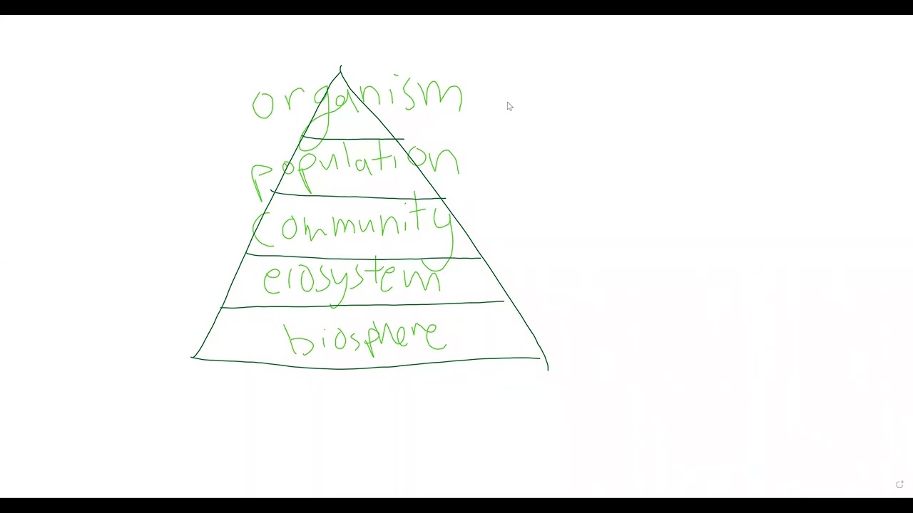 Using Unionid mussels as an example, draw a diagram of the biological levels of organization that i…