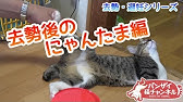 暇だからきんたまをさわる Youtube
