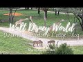 NEW! Animal Kingdom Lodge | Day 5 | December 2023 | Walt Disney World Vlog