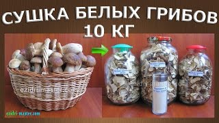 видео Приготовление грибного порошка