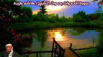 سورة الحجرات (صدى) بصوت الشيخ/ هاشم هيبه - Surat Al Hujurat