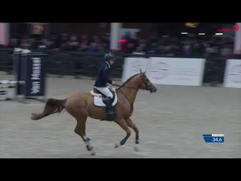 Por Favor ES KCX Stallion Competition Lier Azelhof