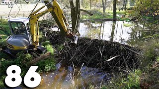 It Was A Really Big Dam - Beaver Dam Removal With An Excavator No.86