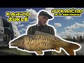 Karpių žvejyba. Pykaičiai - 13-14 sektorius. (Carp Fishing @ Pykaiciai)