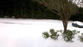 Durham, NC Snow 1-30-10, 10 am