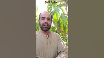 إنا أنزلناه في ليلة القدر #سورة_القدر #قرآن #quran #تلاوة #قصار_السور #جزء_عم