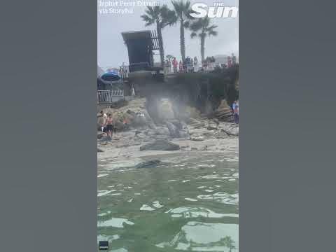 Moment Sea Lion charges at beachgoers in San Diego #shorts - YouTube