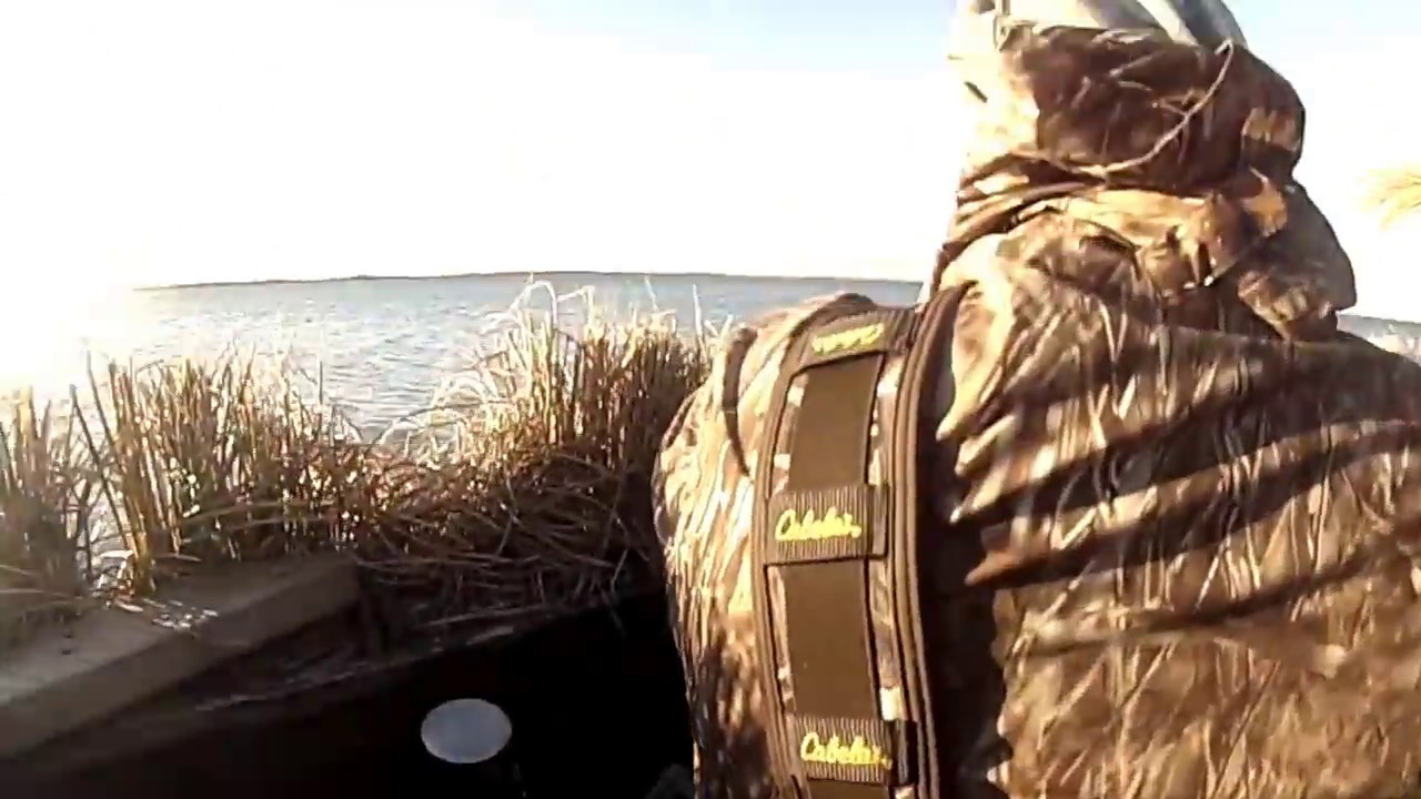 duck hunting Long Island, New York, brant, eider, bufflehead, and more