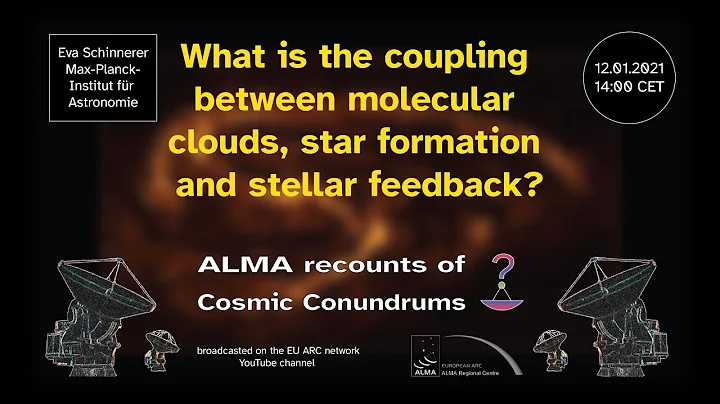 ALMA recounts of cosmic conundrums: Eva Schinnerer...