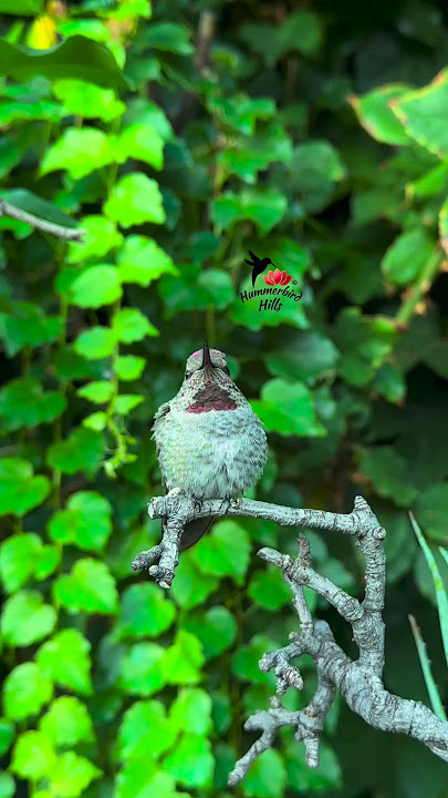 3322970863607004319 55655751463