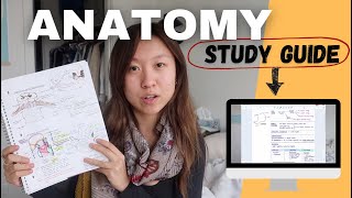 How to Study for Anatomy 🦴🫀🧠 | Guide to anatomy resources and making your own study tools!