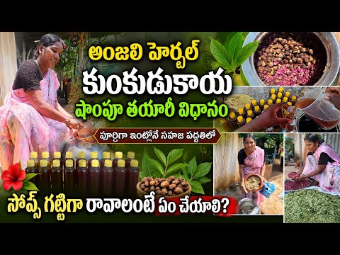 మీకు అర్ధం అయ్యే కొలతలతో షాంపూ చేస్తున్న //సోప్స్ తయారీ రెండు ఒక్కటే వీడియో🌿 Anjali palleturi vlogs