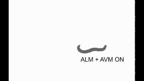 C.elegans Whole Integration generated Avoidance scenario (ALM + AVM stimulus).