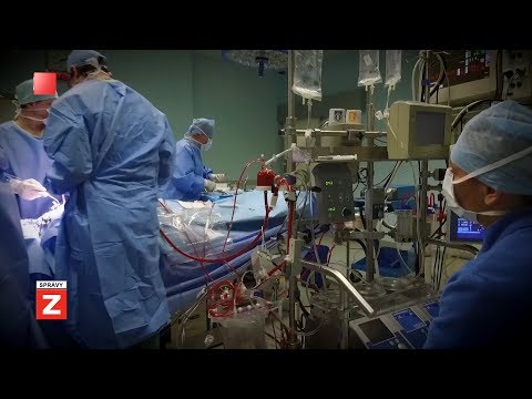 Video: Sprievodca transplantáciou Schefflery v kvetináči – Tipy na presádzanie rastliny Schefflera