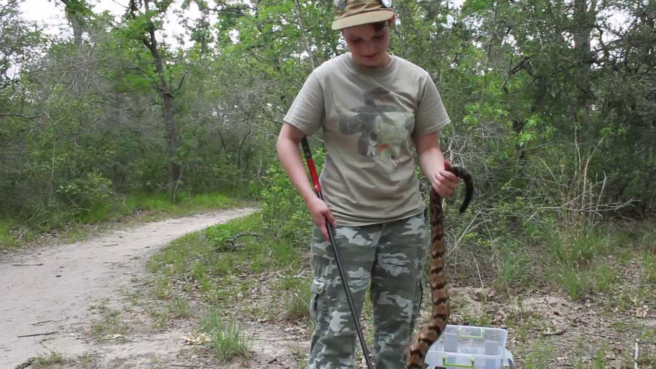 Lick Creek Park Annual BioBlitz | Society for Conservation Biology  |  Texas A&M University