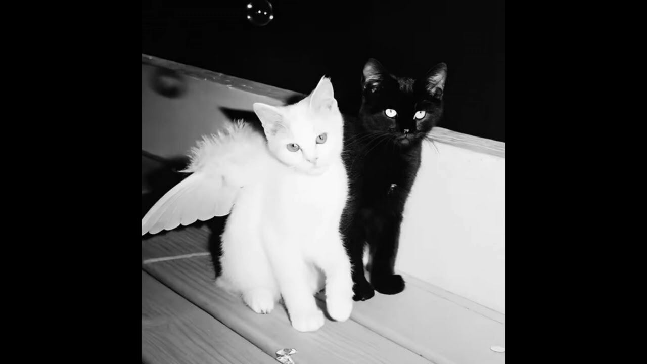 Zero in bloom (bass boosted)