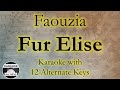 Faouzia  fur elise karaoke instrumental lower higher male  original key
