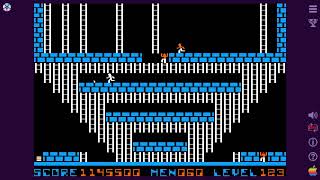 Lode Runner Professional - Level 123