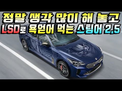 정말 생각 많이 해 놓고 LSD로 욕얻어 먹는 스팅어 2.5 [하부 구조편]