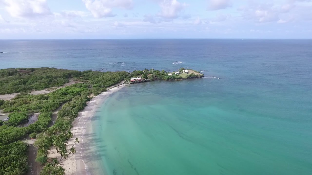 Back From Boca Raton Beach Boca Raton Beach Best Beaches