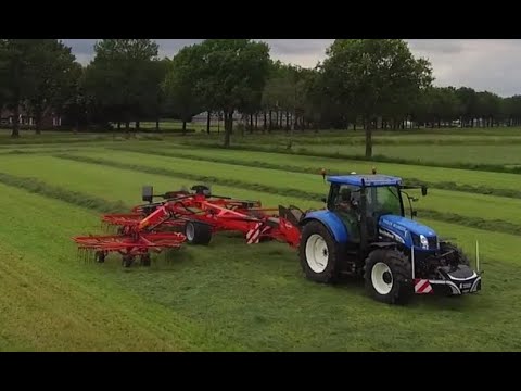 Raking grass |