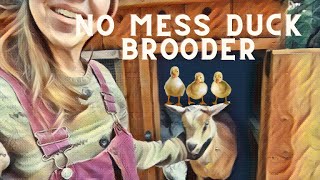 Easy Clean Duck Brooder: Mess-Free Solution!