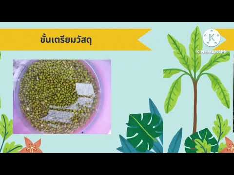 การน้อมนำพระบรมราโชบายด้านการศึกษาของในหลวงรัชกาลที่ 10 โรงเรียนบ้านนาจะแหน อ.สะบ้าย้อย