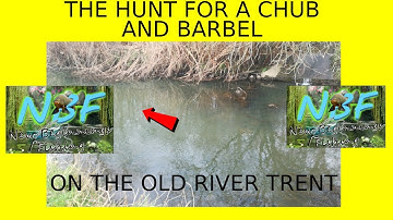 RIVER TRENT STICK FLOAT FISHING FOR CHUB,BARBEL ON A WINTERS DAY STOKE ON TRENT #fishing #angling