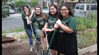 Berkeley Celebrates 50 years of Public Service