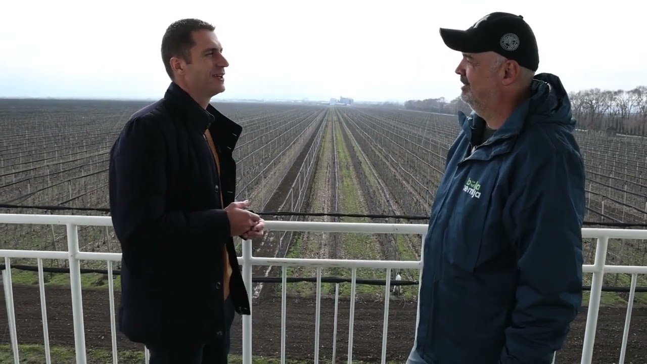 Delta Agrar Čelarevo – 600ha jabuke na dve lokacije