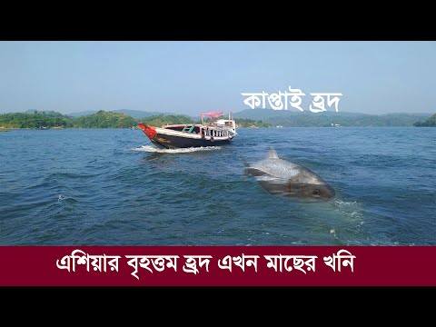 ভিডিও: বার্লিনের সেরা হ্রদ