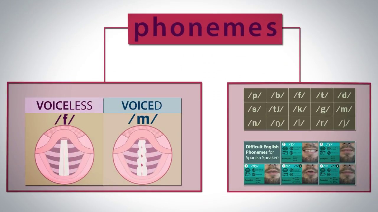 uninorte derecho Difficult English Phonemes