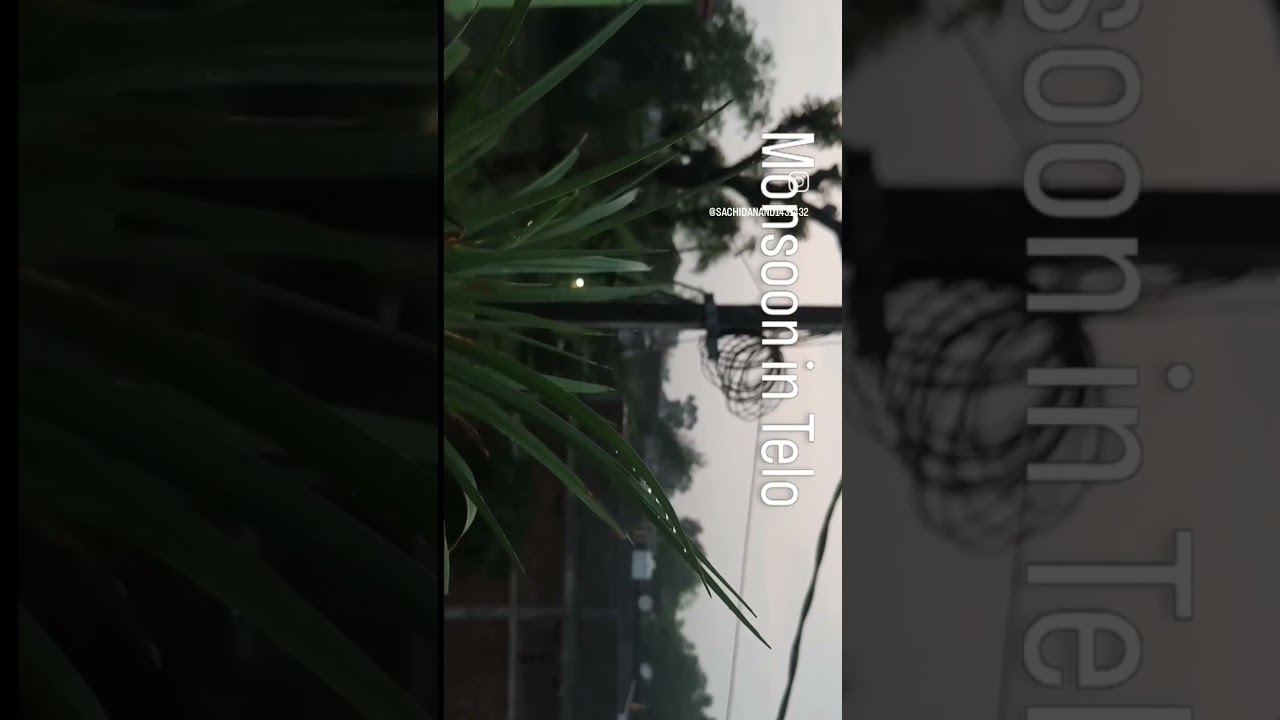 🌧️ “Telo draped in rain… every drop writes a new story....