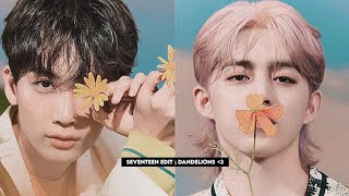 Dandelions Seventeen