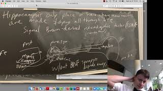20 MDD Anxiety Benzo TherapeuticIndex Tye Malberg BDNF