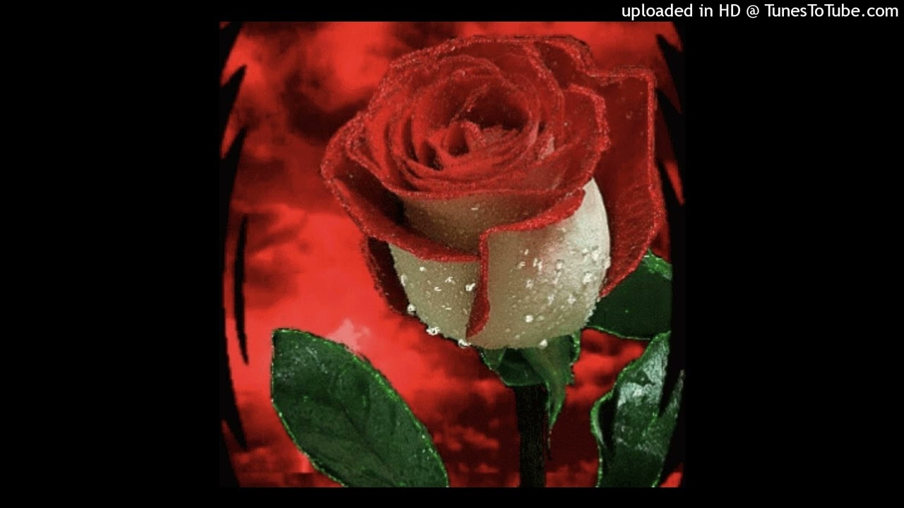 [free] oddly shrugs x mason manson x synthpunk type beat - “red roses” (prod. mason manson)