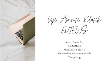 INDAH NOVITA SARI_1862201338 || UJI ASUMSI KLASIK (EVIEWS)