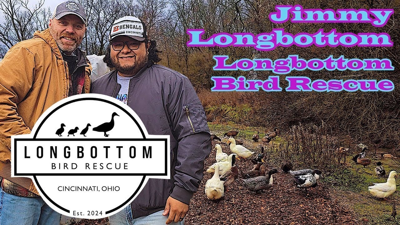 Longbottom Bird Rescue: Saving Domestic Waterfowl in Cincinnati, Ohio ...
