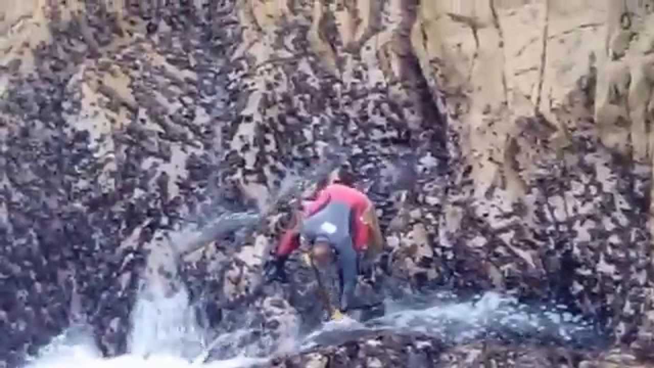 Maré aos Percebes com o Nuno Alemão