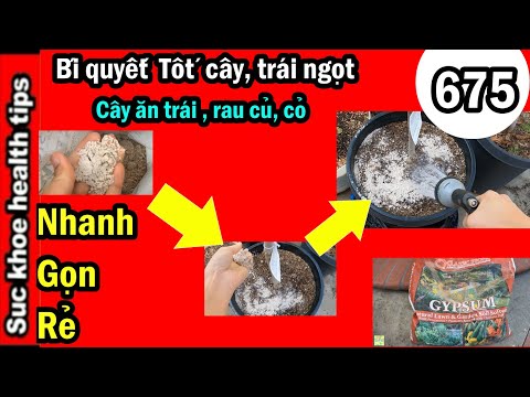 Video BÍ QUYẾT Cây ăn trái, Rau TỐT rễ,Cam bưởi NGỌT TRÁI,... - youtube
