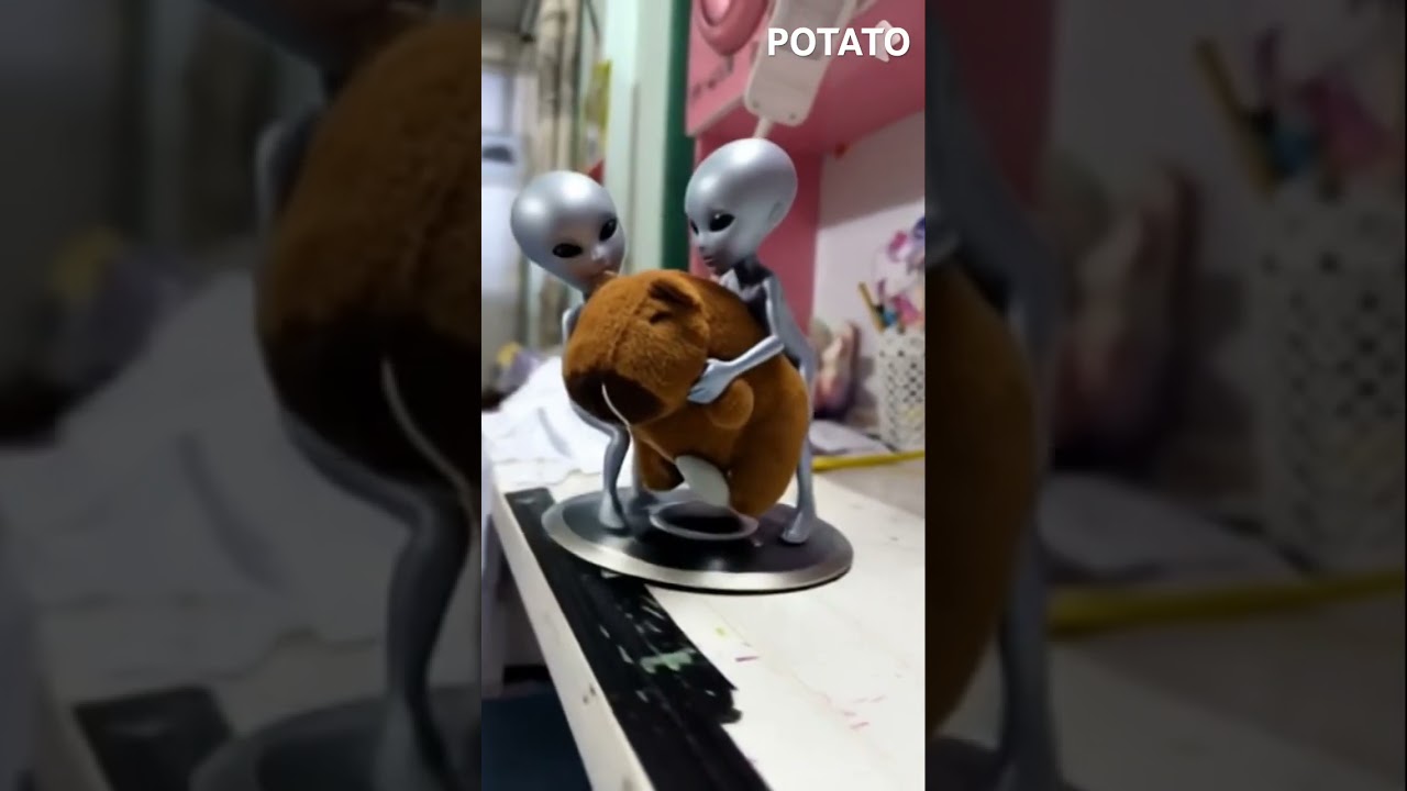 Aliens took capybara and flew away  