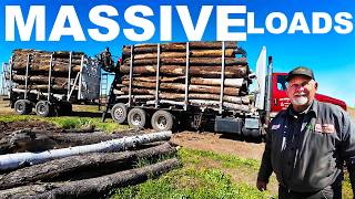 82 YEAR OLD MAN MOVES THE LOGS TO THE NEW WOODYARD!