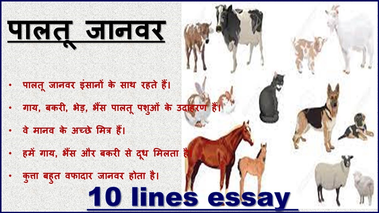 pet animals essay in hindi
