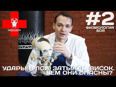 УДАРЫ В ЛОБ, ЗАТЫЛОК, ВИСОК. ЧЕМ ОНИ ОПАСНЫ? - ФИЗИОЛОГИЯ БОЯ # 2