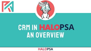 Crm In Halopsa An Overview