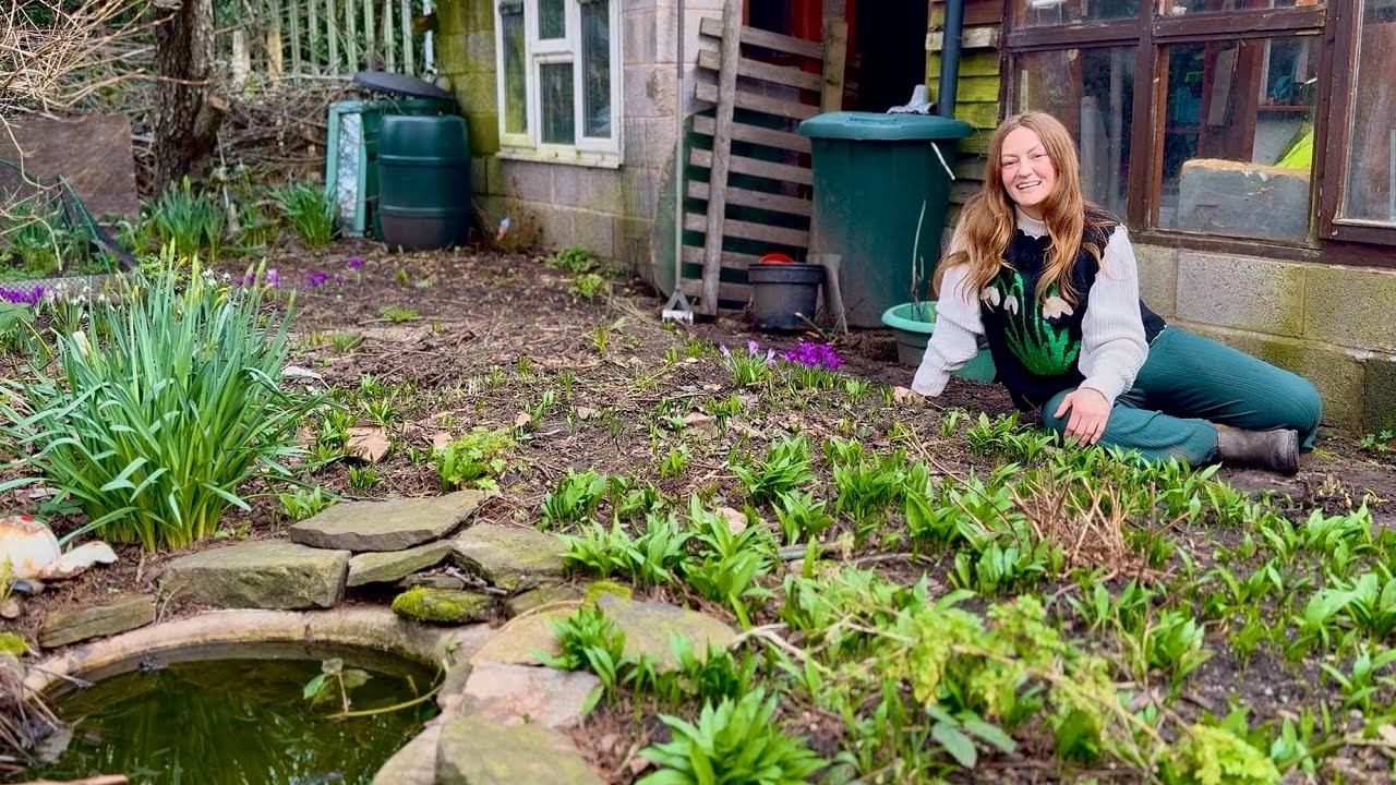 Getting my Forest Garden ready for Spring Equinox