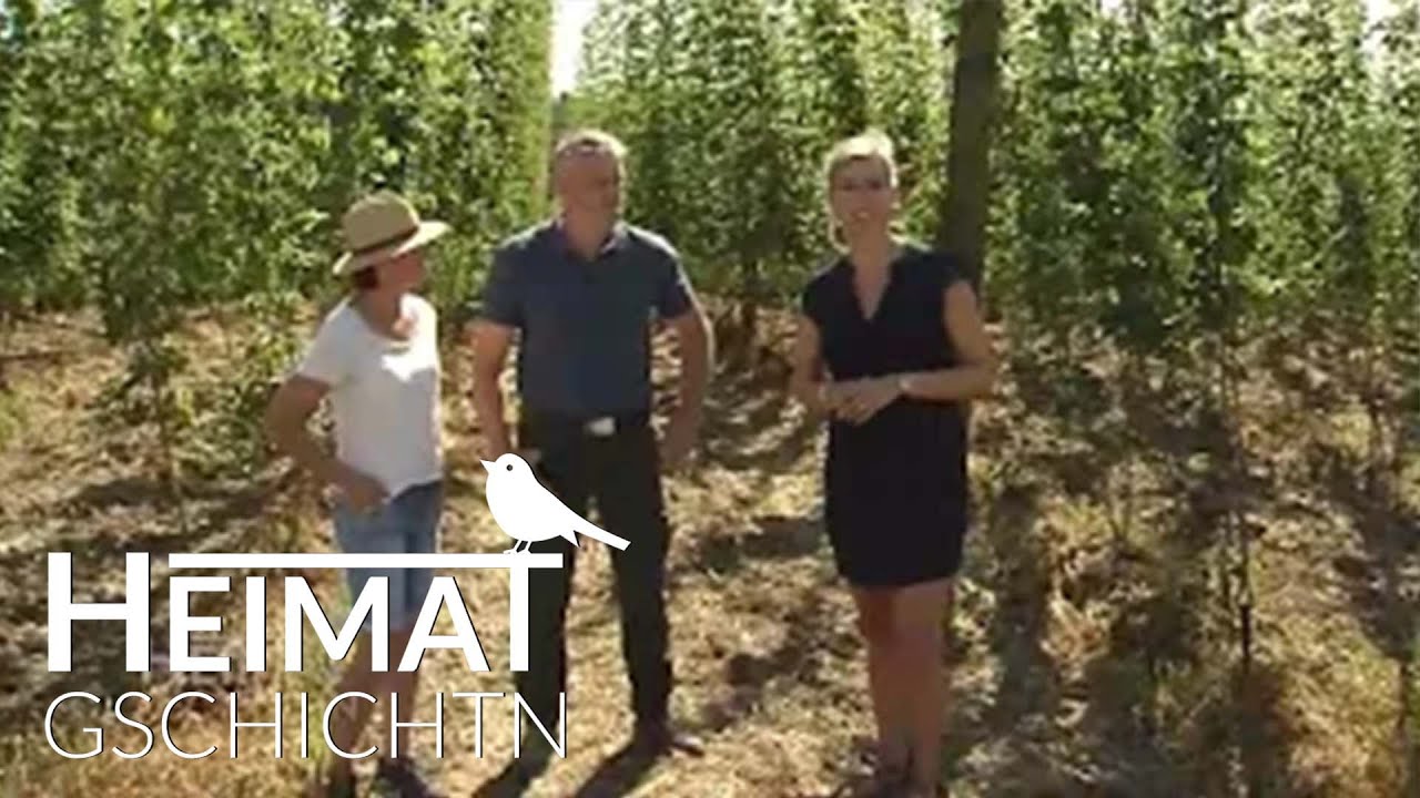 Heimatgschichtn - beim Doimerhof in Pfaffenhofen an der Ilm