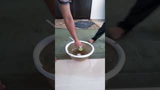 amar bayblade kunfu chef  vs dragon fire didi
