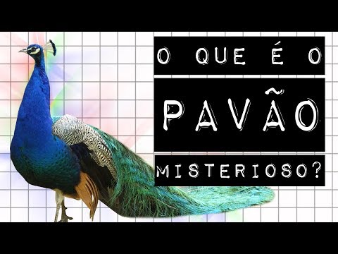 Vídeo: O Que é Pava