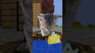 🐱🥹.  #minecraft #cat #cats #aldeano #minecraftanimation #minecraftcat #gatos #gato #catsoftiktok